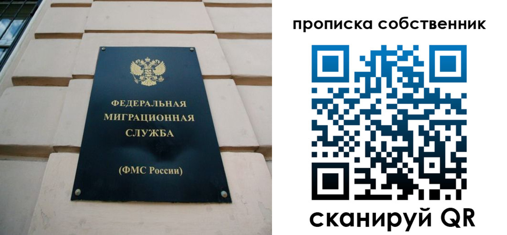 прописка законно в Краснокаменске
